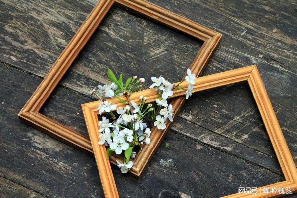 体育游戏app平台母亲说：“你无须为我顾虑-开云平台网站皇马赞助商| 开云平台官方ac米兰赞助商 最新官网入口